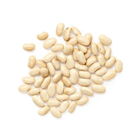 Chivo Blanco, Bean Seeds - 1 Pound image number null